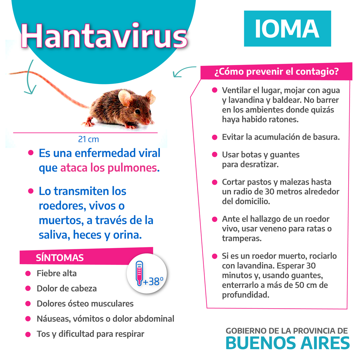 Evitemos el hantavirus Te damos la bienvenida a IOMA