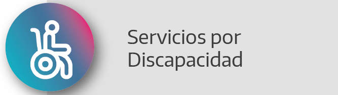 Servicios por Discapacidad