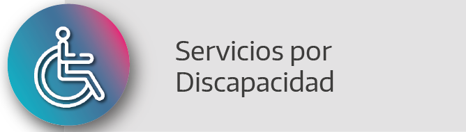 Servicios por Discapacidad